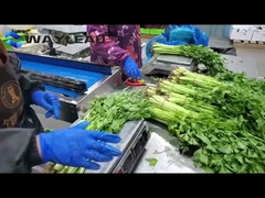 دستگاه بسته بندی بیسکوییت های اسنک، دستگاه بسته بندی خودکار شیرینی