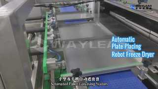 ربات یخ خشک کن اتوماتیک بشقاب