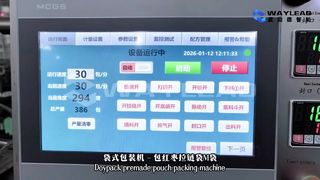 دستگاه بسته بندی کیسه مایع سریع WG250