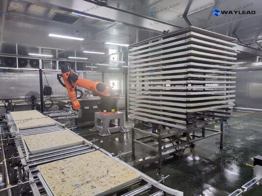 ربات خودکار صفحه گذاری با راندمان بالا، سفارشی‌سازی شده برای خطوط تولید خشک‌کن انجمادی